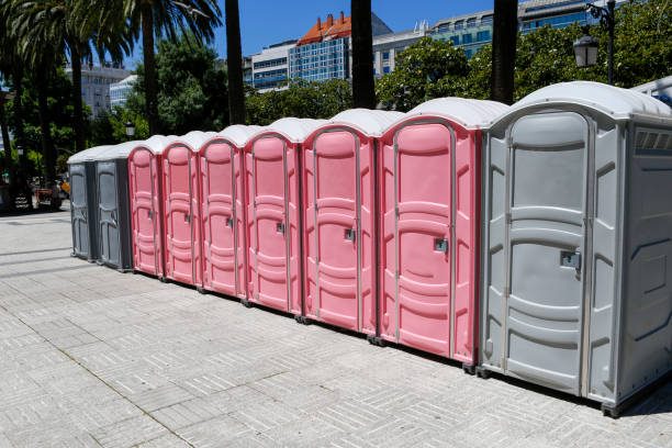 Best Deluxe Portable Toilet Rental  in De Pue, IL