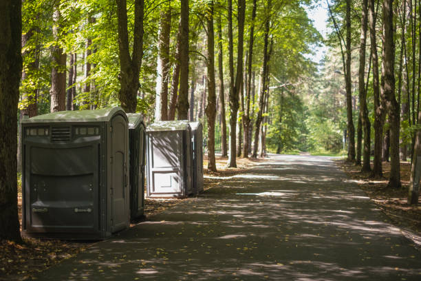 Best Portable Toilets for Parks and Recreation Areas  in De Pue, IL